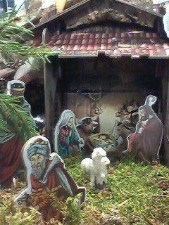 Dania Squizzato Spinea Ve (4) r