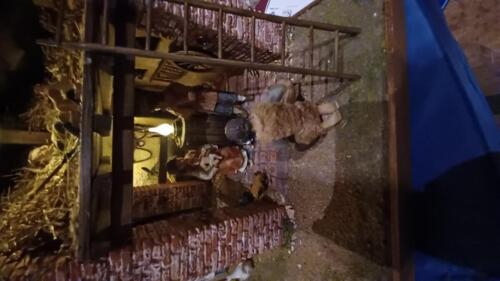 Emanuele-Weller-Caselle-1-R