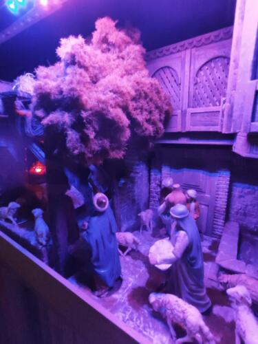 Orazio-Rando-Carpenedo-poliuretano-tecnica-catalana-5-R