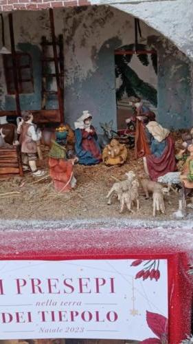 Presepe-in-Municipio-Spinea-Renato-Brazzolotto-2-R