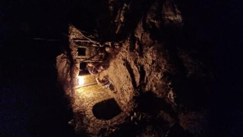 Presepi-in-chiesa-S-Bertilla-A-Biasiolo-R