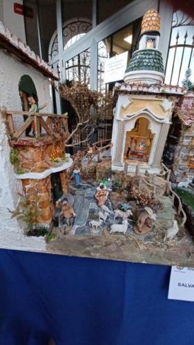 Salvatore-S-Municipio-Spinea-4R